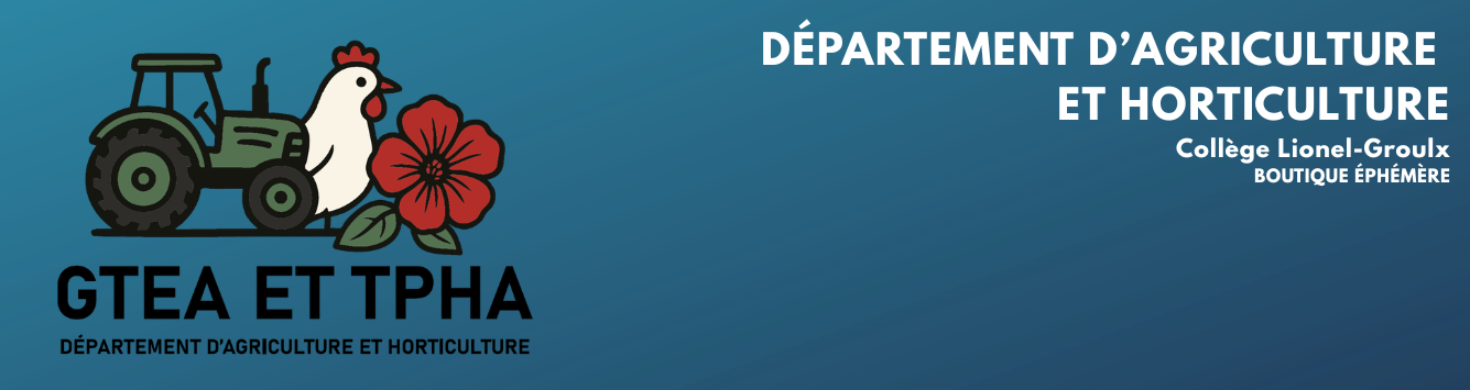 Collège Lionel-Groulx